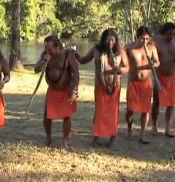 Les Wayapi, peuple de Guyane