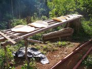 Couac, farine de manioc en Guyane